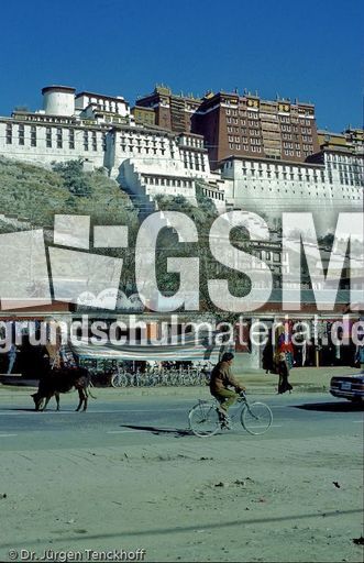 Tibet (82 von 257).jpg